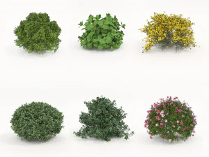 Conjunto de arbustos realistas 5 Modelo 3D