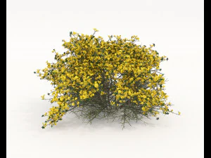 Realistic Shrub Bush Set 5 3D Model