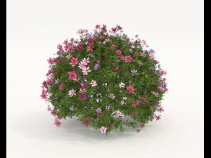 Realistic Shrub Bush Set 5 3D Model