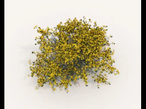 Realistic Shrub Bush Set 5 3D Model