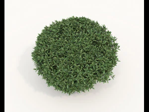Realistic Shrub Bush Set 5 3D Model