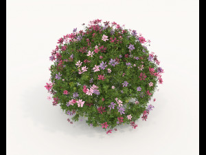 Realistic Shrub Bush Set 5 Modello 3D