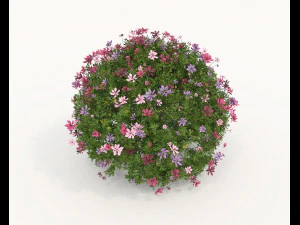 Realistic Shrub Bush Set 5 3D Model