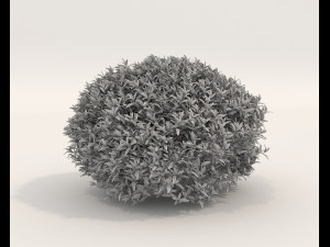 Realistic Shrub Bush Set 5 Modello 3D