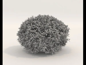 Realistic Shrub Bush Set 5 3D Model