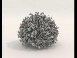 Realistic Shrub Bush Set 5 3D Model