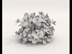 Realistic Shrub Bush Set 5 Modello 3D