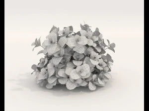 Realistic Shrub Bush Set 5 3D Model