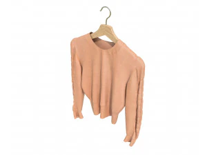 Clothing on Hanger 7 3D Model