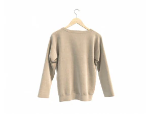 Clothing on Hanger 9 3D Model