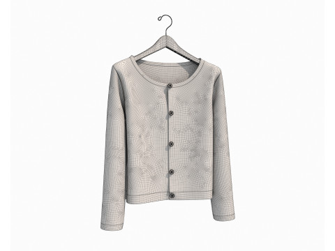 Clothing on Hanger 11 3D 模型