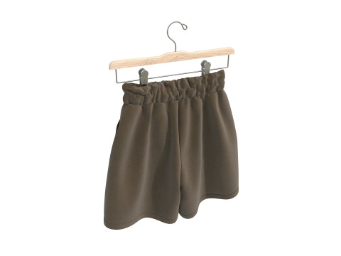 Clothing on Hanger 12 3D Model