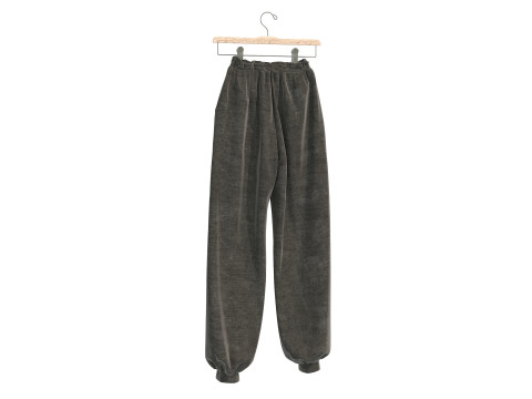 Clothing on Hanger 12 3D Model