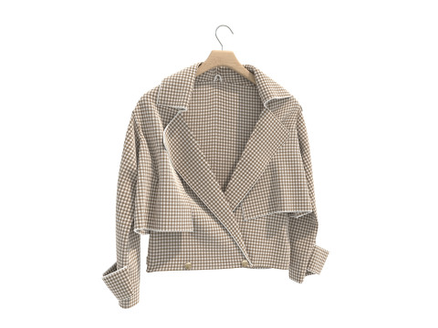 Coat on Hanger Collection 5 3D 모델