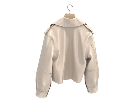 Coat on Hanger Collection 5 3D 모델