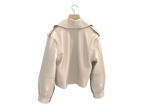 Coat on Hanger Collection 5 3D Model