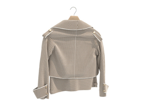 Coat on Hanger Collection 5 3D 모델