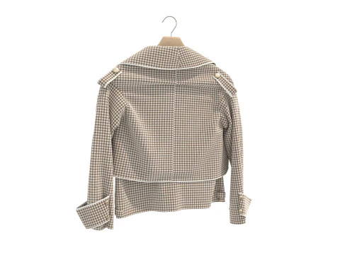 Coat on Hanger Collection 5 3D Model