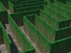 maze - wall with creeper 3D Модель