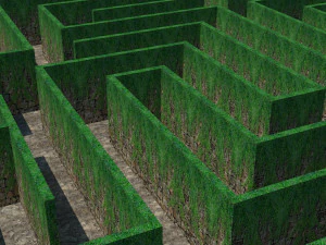 maze - wall with creeper 3D Model