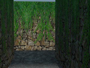 maze - wall with creeper 3D Модель