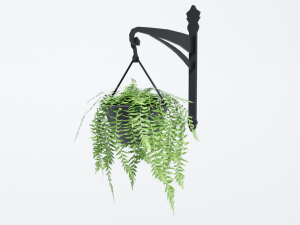 fern in hanging pot 3D Model
