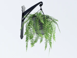fern in hanging pot 3D Model
