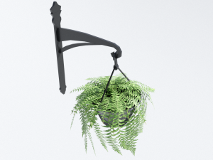 fern in hanging pot Model 3D