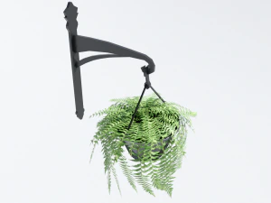 fern in hanging pot 3D Model