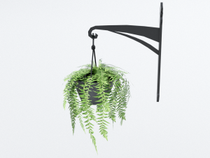fern in hanging pot Model 3D
