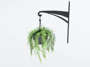 fern in hanging pot 3D Model