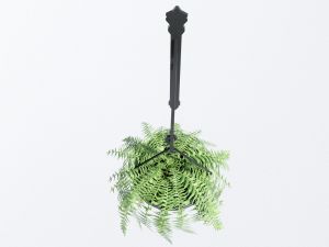 fern in hanging pot Model 3D