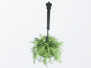 fern in hanging pot 3D Model