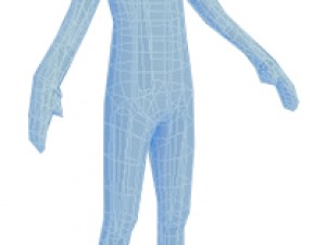 male human low-poly rigged anatomic model 3D-Modell