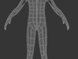 male human low-poly rigged anatomic model 3D-Modell