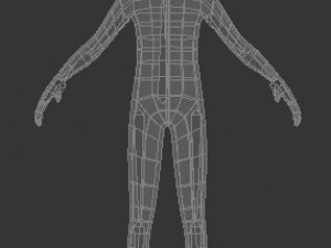 male human low-poly rigged anatomic model 3D-Modell
