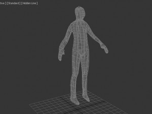 male human low-poly rigged anatomic model 3D-Modell