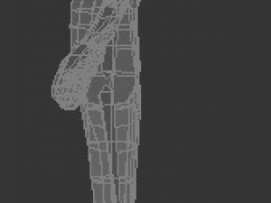 male human low-poly rigged anatomic model 3D-Modell