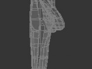 male human low-poly rigged anatomic model 3D-Modell