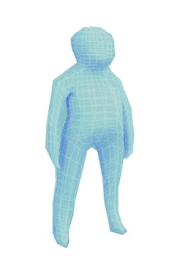 child human low-poly rigged anatomic model 3D Model .c4d .max .obj .3ds .fbx .stl .blend 