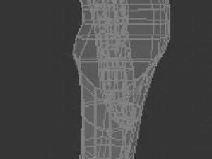 child human low-poly rigged anatomic model 3D Model