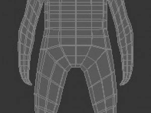 child human low-poly rigged anatomic model 3D Model