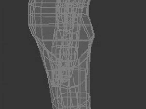 child human low-poly rigged anatomic model 3D Model