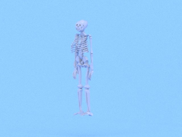 low poly anatomic skeleton 3D Model .c4d .max .obj .3ds .fbx .stl .blend 