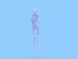 low poly anatomic skeleton 3D-Modell