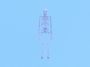 low poly anatomic skeleton 3D Model