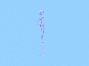 low poly anatomic skeleton 3D Model
