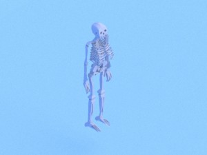 low poly anatomic skeleton 3D Model