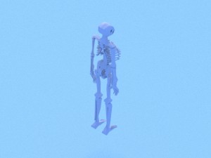 low poly anatomic skeleton 3D Model