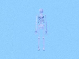 low poly anatomic skeleton 3D Model